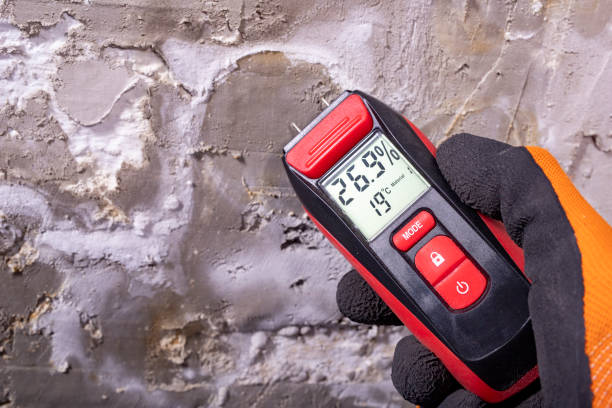 Best HVAC Mold Remediation in La Crosse, KS